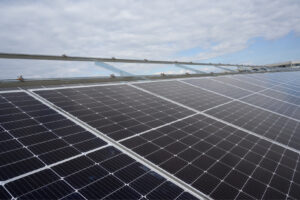 impianti-a-terra-battipalo-supporti-per-impianti-fotovoltaici-a-terra-strutture-e-sistemi-di-fissaggio-pannelli-solari