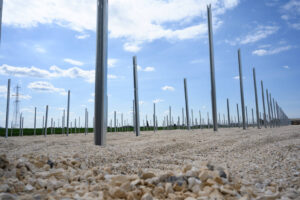 impianti-a-terra-battipalo-supporti-per-impianti-fotovoltaici-a-terra-strutture-e-sistemi-di-fissaggio-pannelli-solari