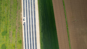 supporti per impianti fotovoltaici a terra strutture e sistemi di fissaggio pannelli solari gabbie